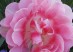 20130507_174654 - Copy